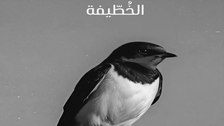 مسلسل الخطيفة الحلقة 19 التاسعة عشر