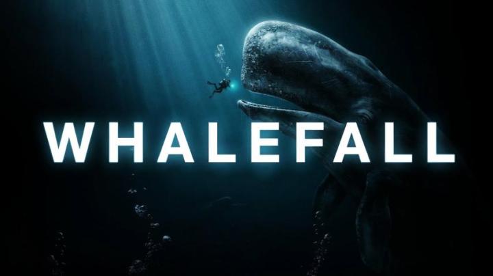 مشاهدة فيلم Whalefall 2026 مترجم كامل HD