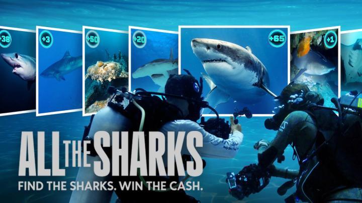 حصرياً | مسلسل All the Sharks الموسم الاول الحلقة 1 بجودة عالية